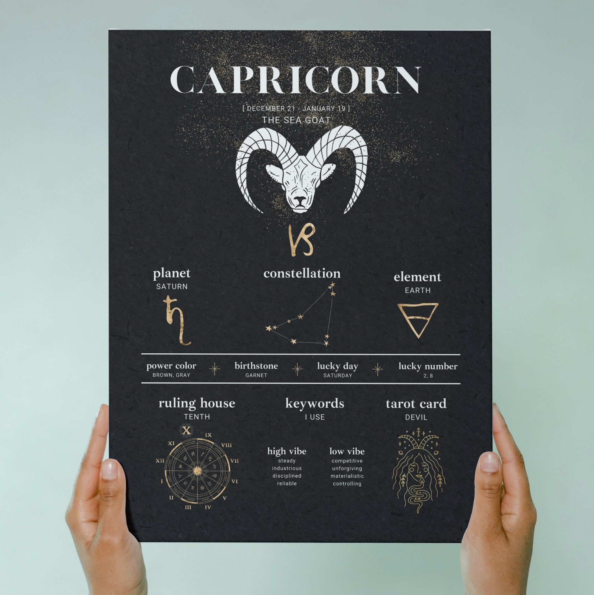 horoscope signs capricorn