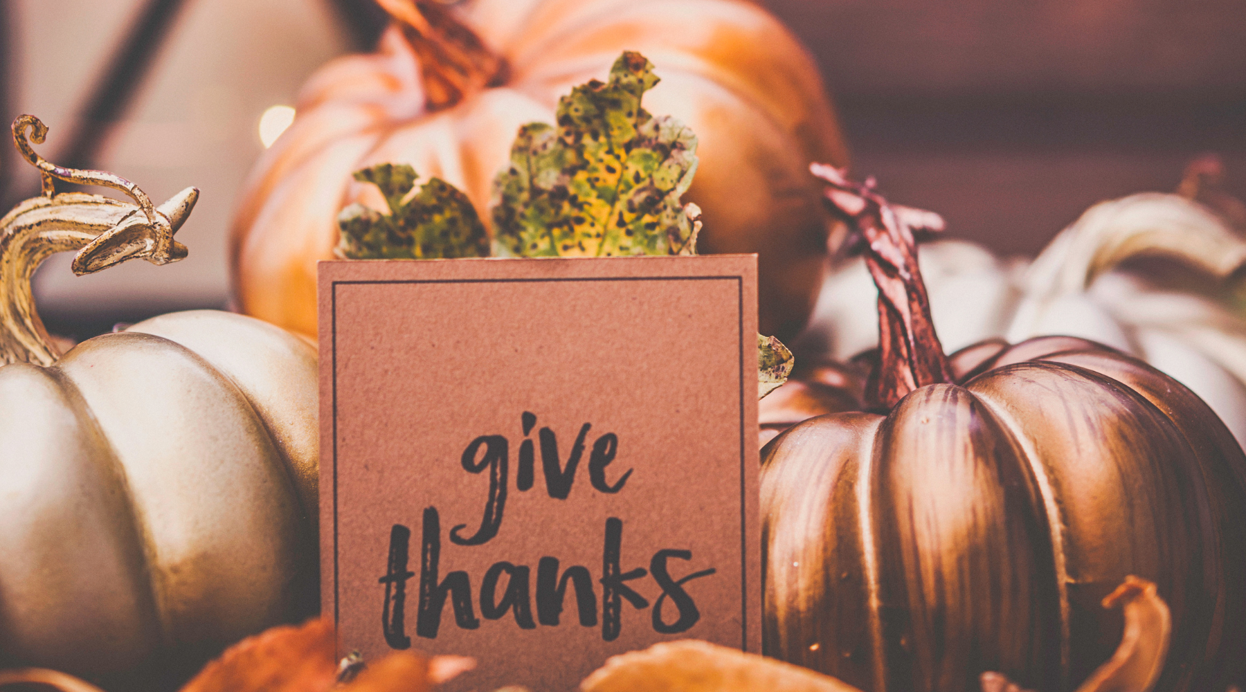 Tarot Ritual for Gratitude + Grounding: An Earth-Centered Practice for November