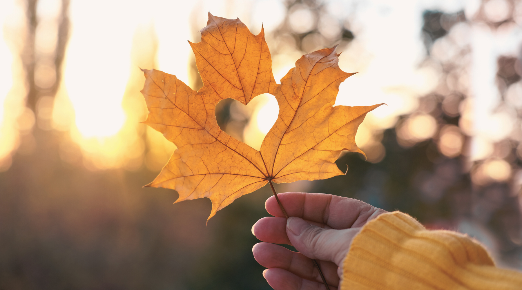 Mabon Blessing Ritual + Tarot Spread for Balance and Gratitude
