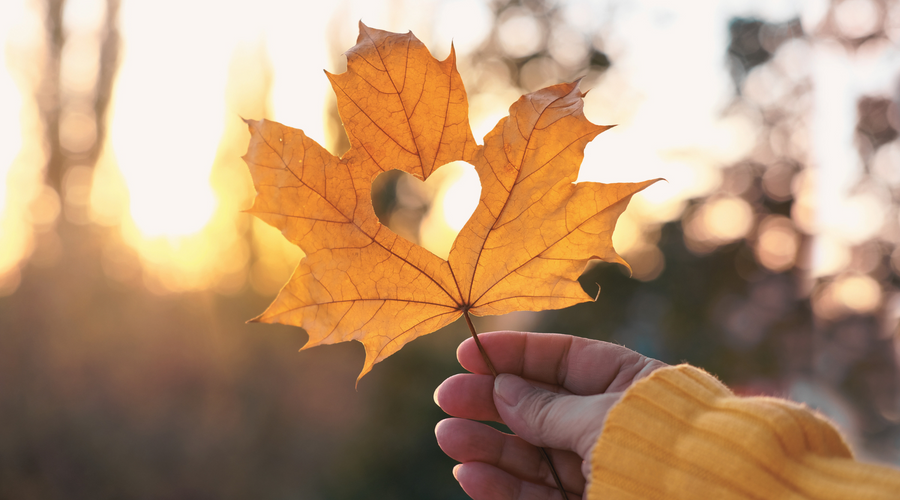 Mabon Blessing Ritual + Tarot Spread for Balance and Gratitude