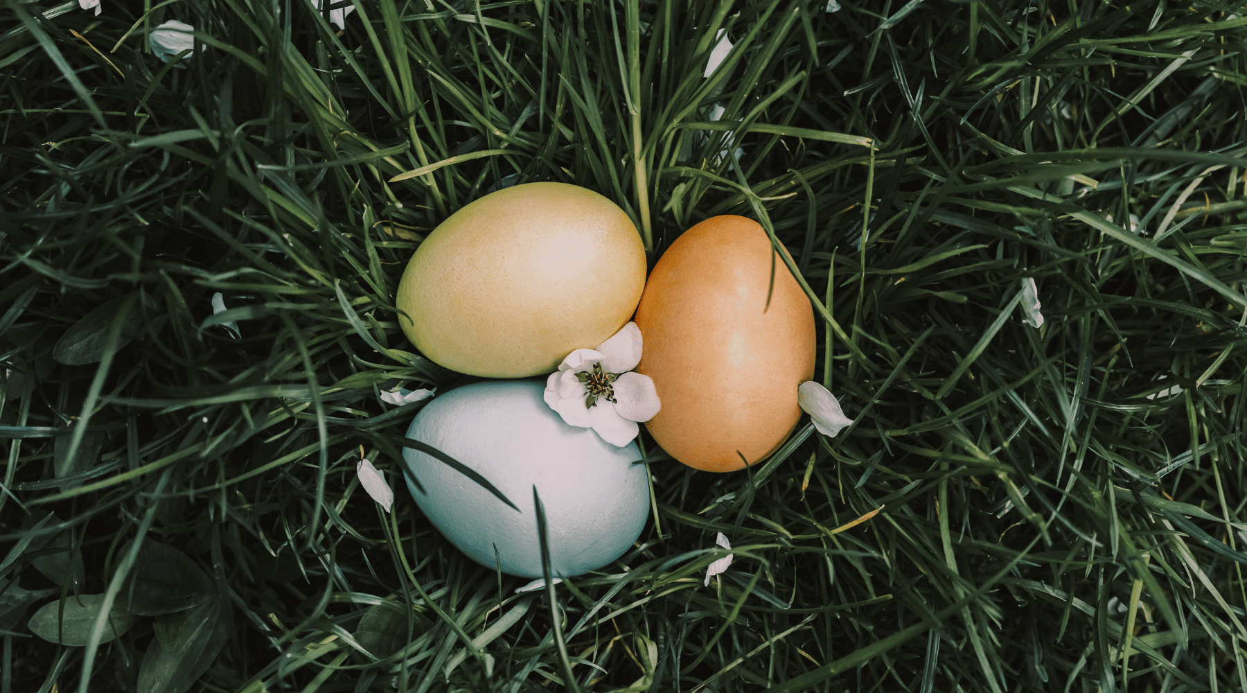 Ostara Rituals for Modern Witches: Celebrating Spring Equinox Without the Bonfire