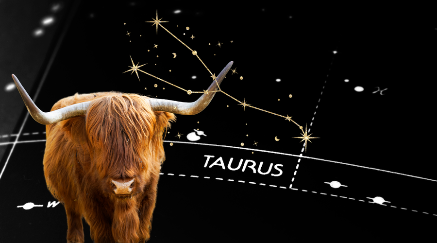 Preparing for Taurus Season: Slowing Down Without Losing Momentum