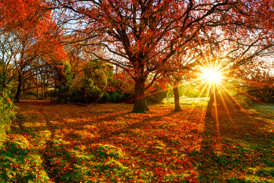 Mabon: The Autumn Equinox