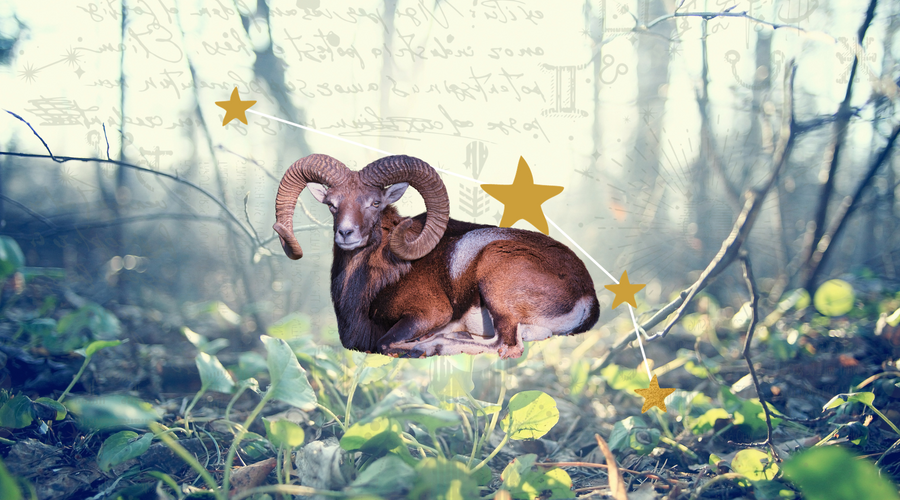 Celestial Highlights: Astrological Transits in March