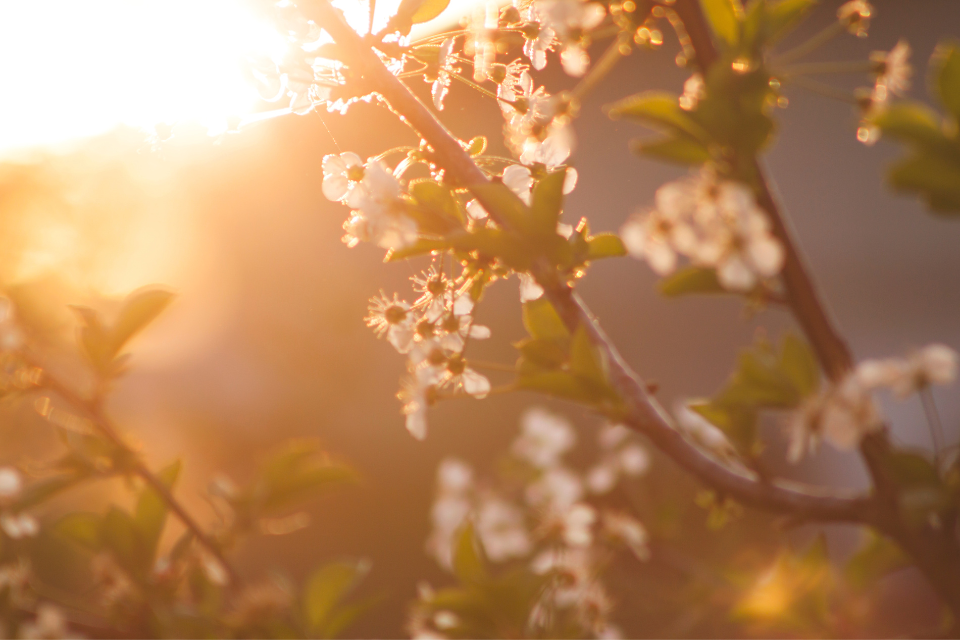 Celebrating Ostara, Easter and the Spring Equinox