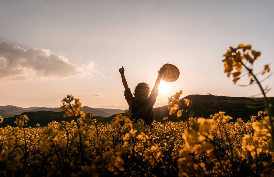 How to Turn Gratitude Into a Daily Ritual: A 4-Week Practice for Lasting Abundance
